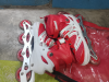 Rollar skates